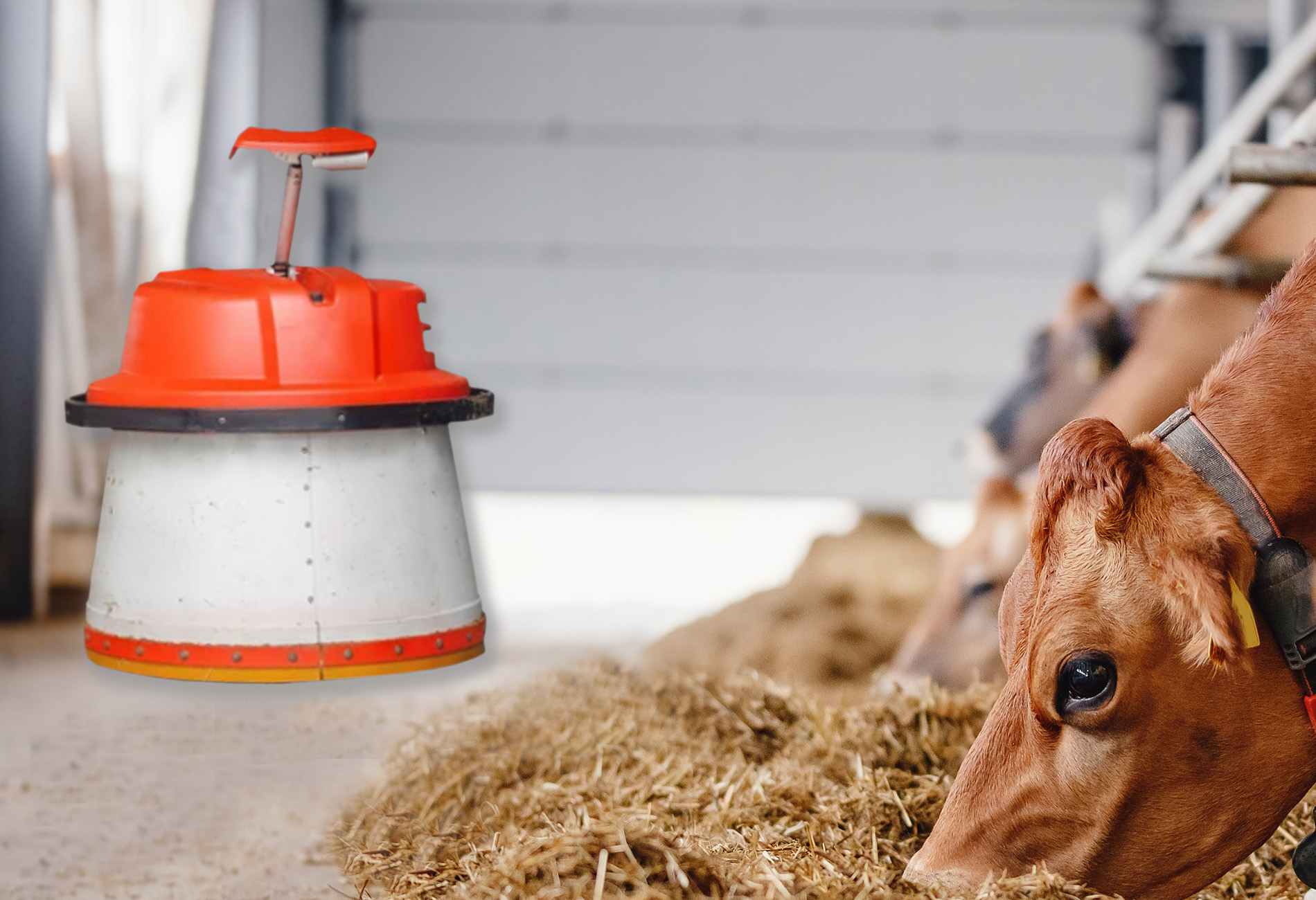 Landwirtschaft Futterroboter mit Ultraschallsensor