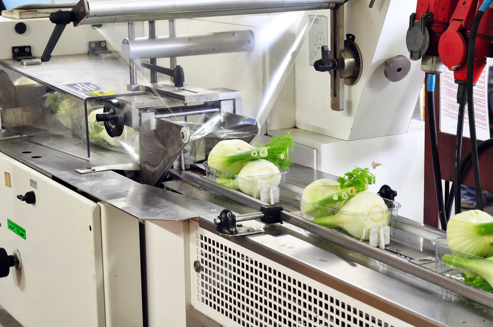 Anwendungen-Verpackungsindustrie-Gemüseverpackung